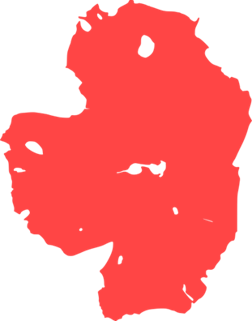 rhodophyta